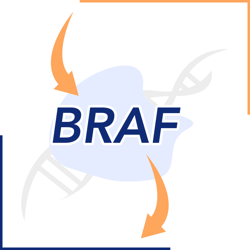 BRAF Methylation Analysis
